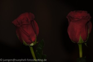 Süpheli-Fotoshootin.de - Blüh einfach!